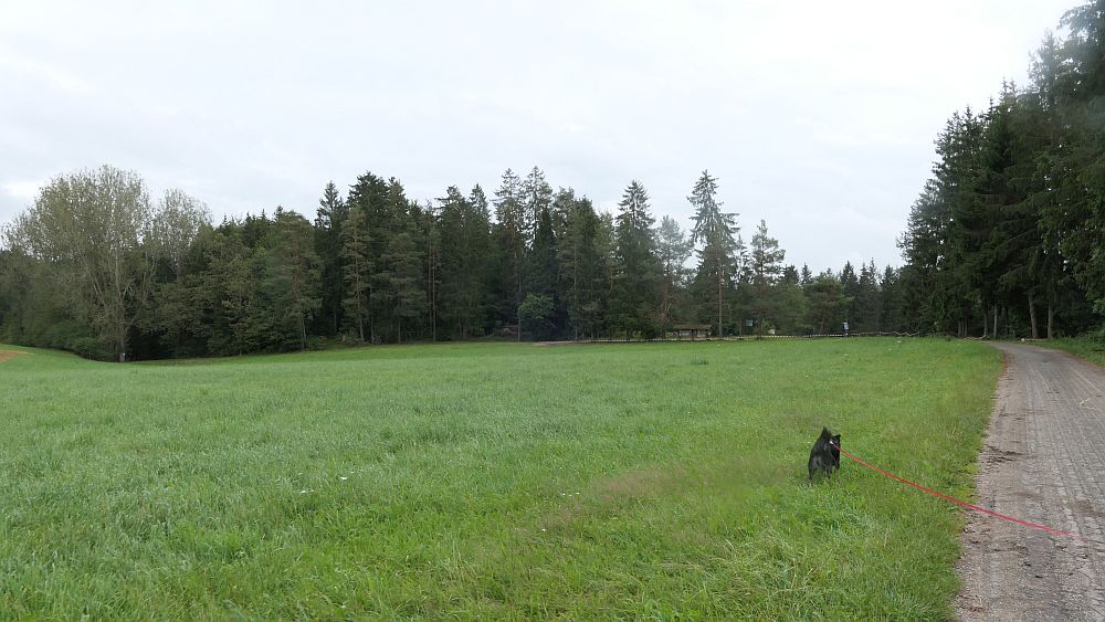 3 Schluchten Steig