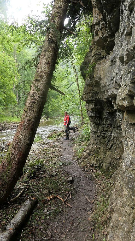 3 Schluchten Steig