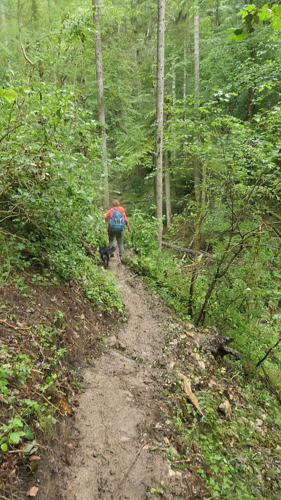 3 Schluchten Steig