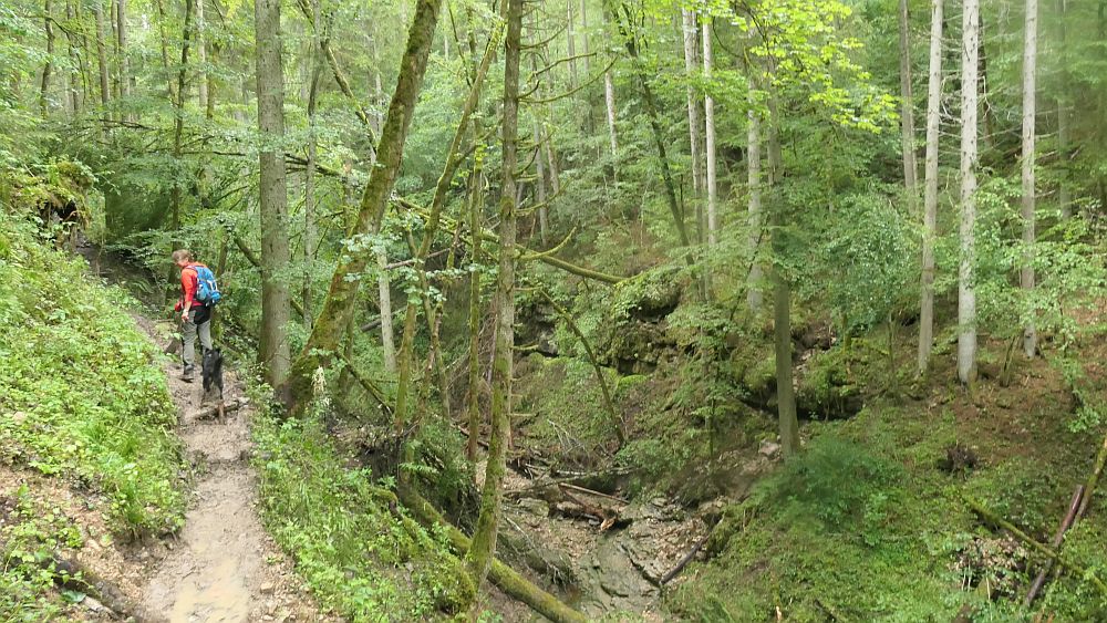 3 Schluchten Steig