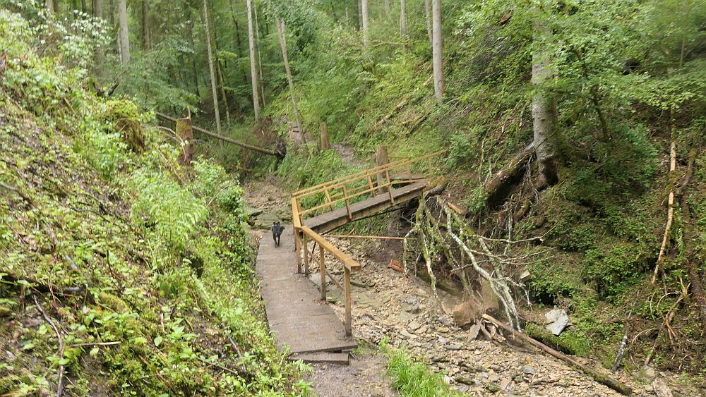 3 Schluchten Steig