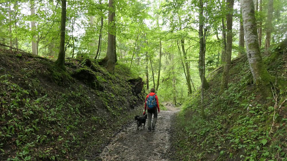 3 Schluchten Steig