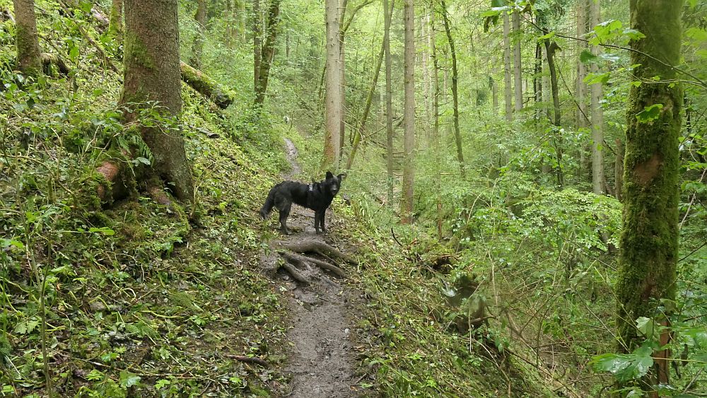 3 Schluchten Steig