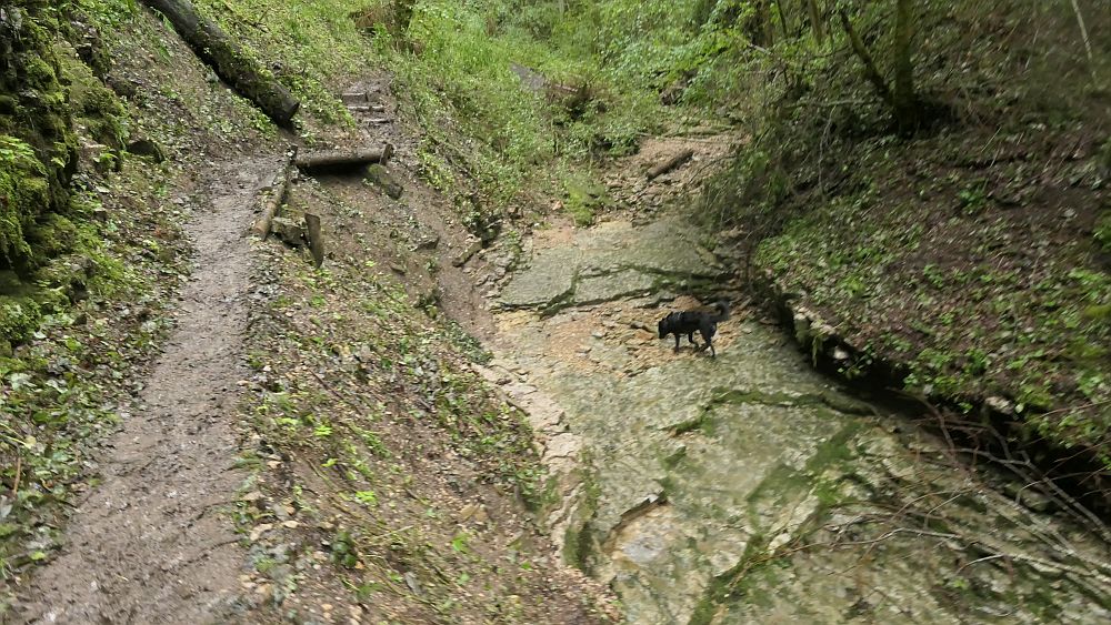 3 Schluchten Steig