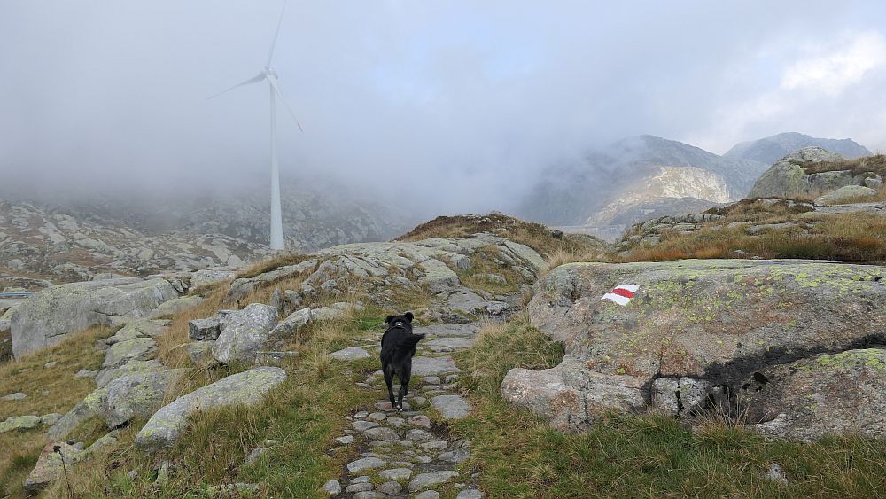 5 Seen Wanderung am Gotthardpass
