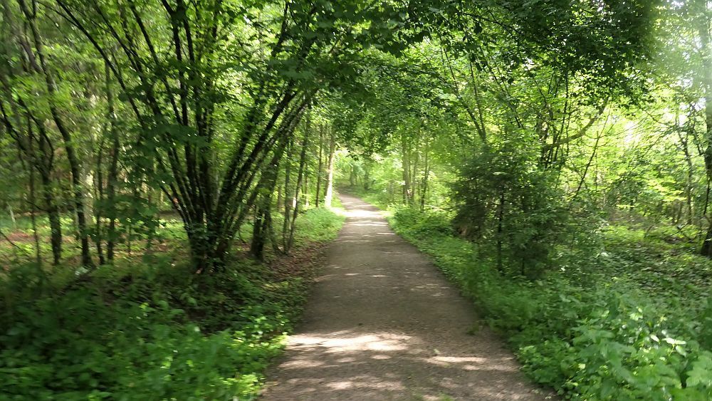 Albsteig Südschwarzwald