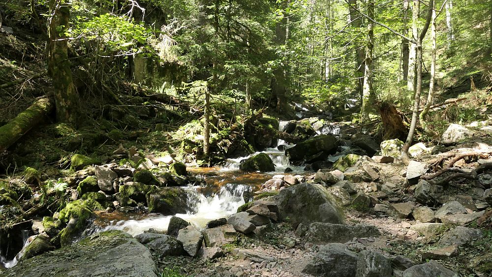 Albsteig Südschwarzwald
