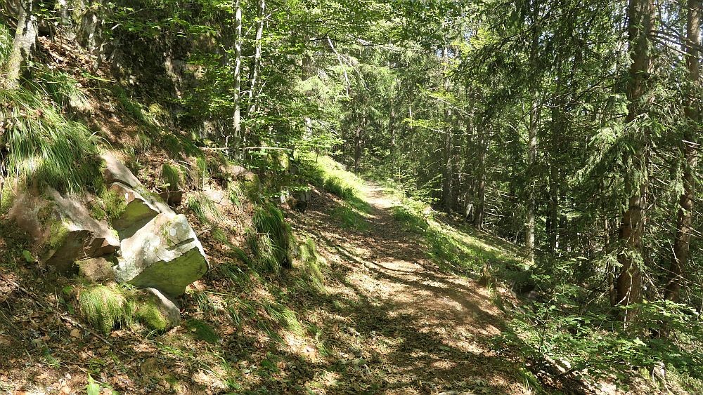 Albsteig Südschwarzwald