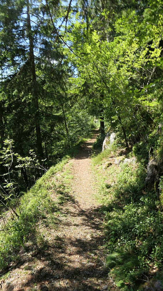 Albsteig Südschwarzwald