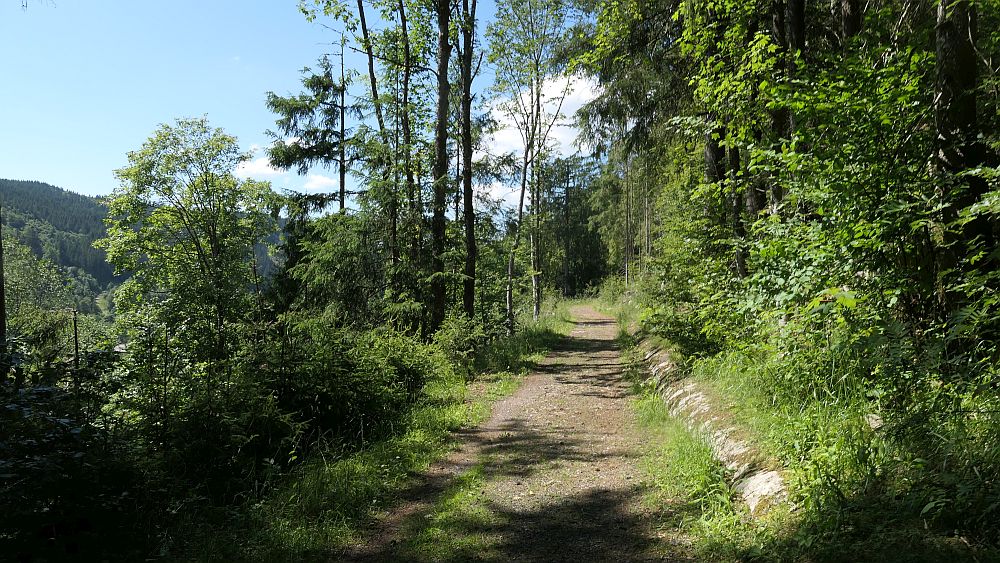Albsteig Südschwarzwald