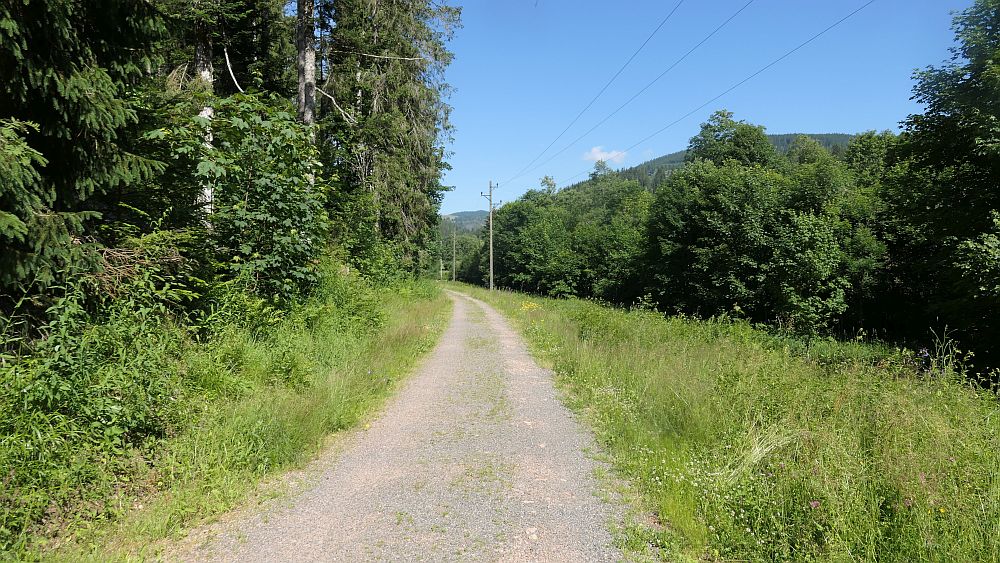 Albsteig Südschwarzwald