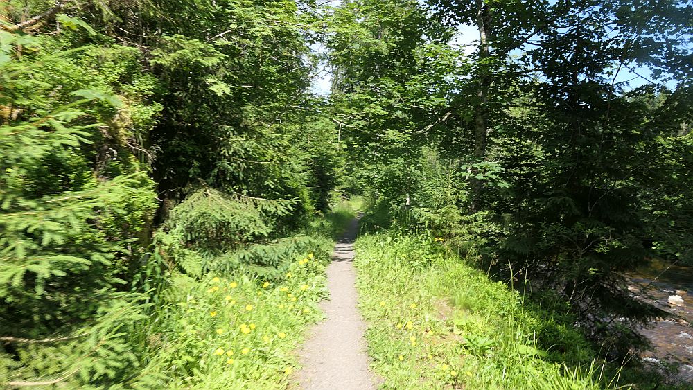 Albsteig Südschwarzwald