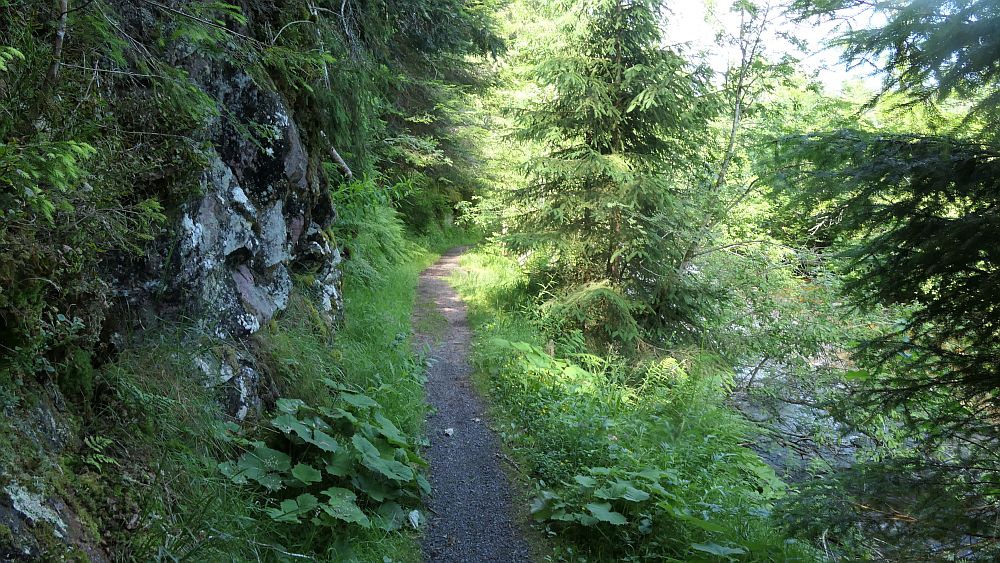 Albsteig Südschwarzwald