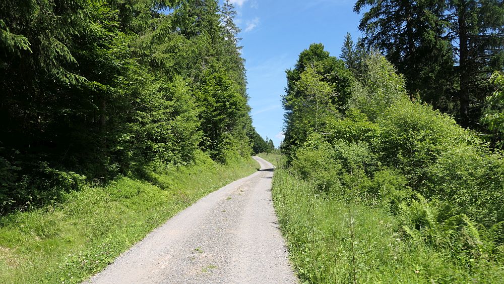 Albsteig Südschwarzwald