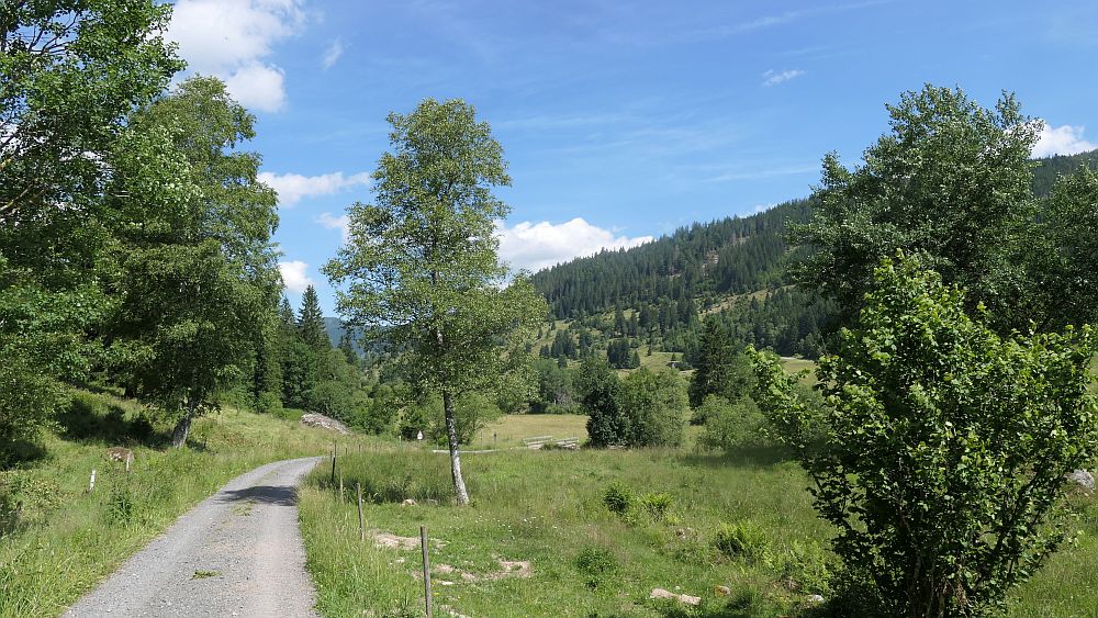 Albsteig Südschwarzwald