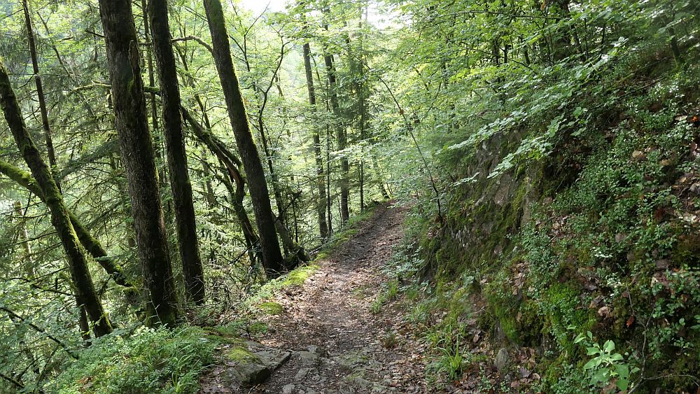 Albsteig Südschwarzwald