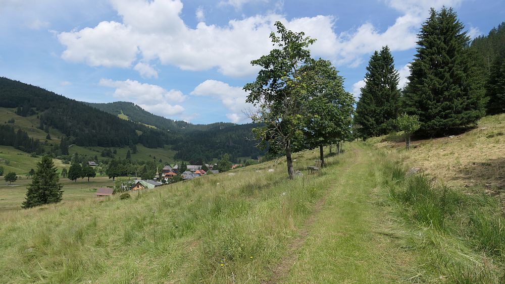 Albsteig Südschwarzwald