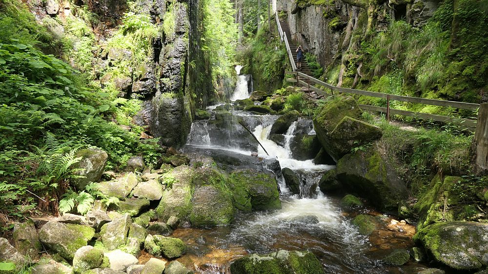 Albsteig Südschwarzwald