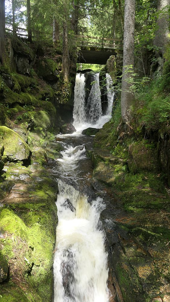 Albsteig Südschwarzwald