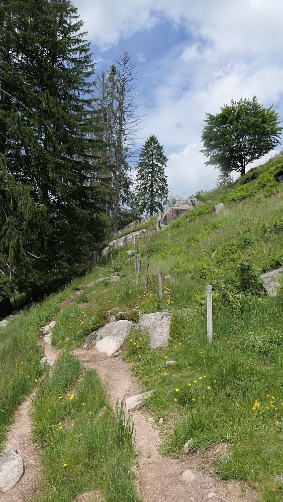 Albsteig Südschwarzwald