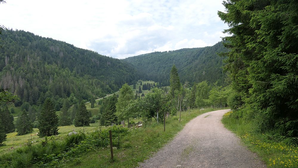 Albsteig Südschwarzwald