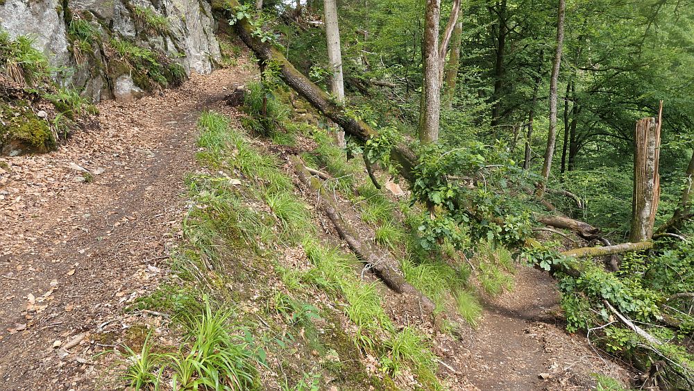 Albsteig Südschwarzwald
