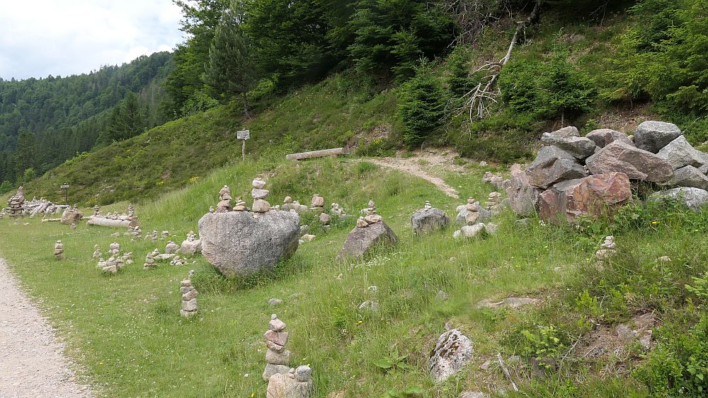 Albsteig Südschwarzwald