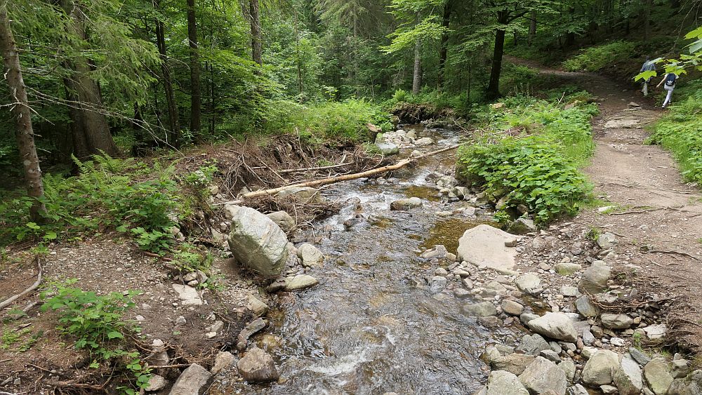 Albsteig Südschwarzwald