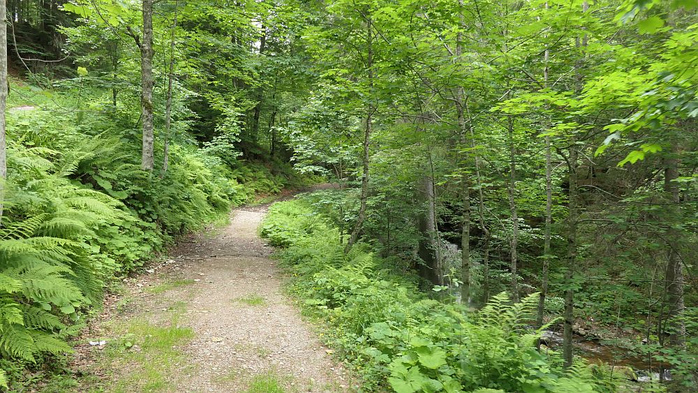 Albsteig Südschwarzwald