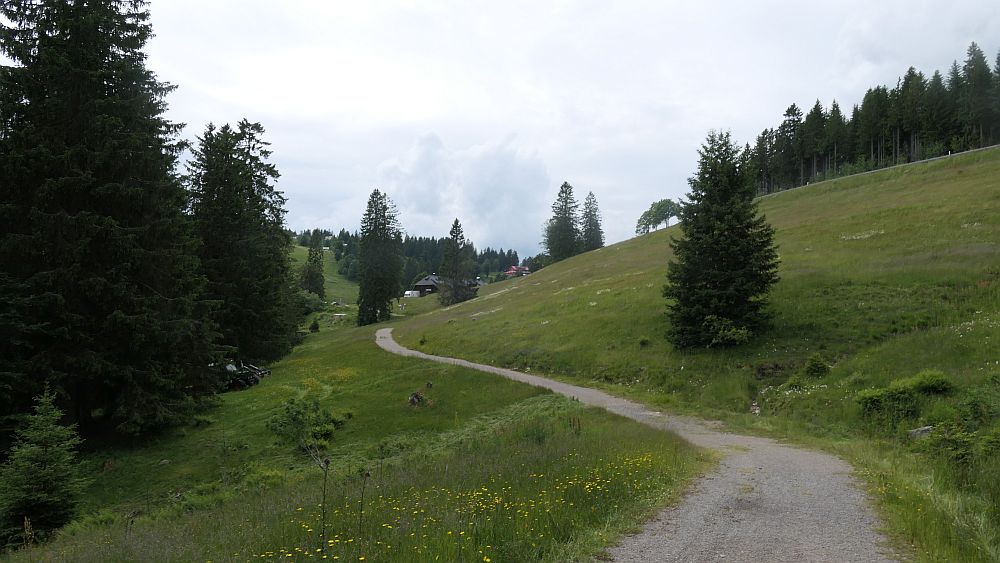 Albsteig Südschwarzwald