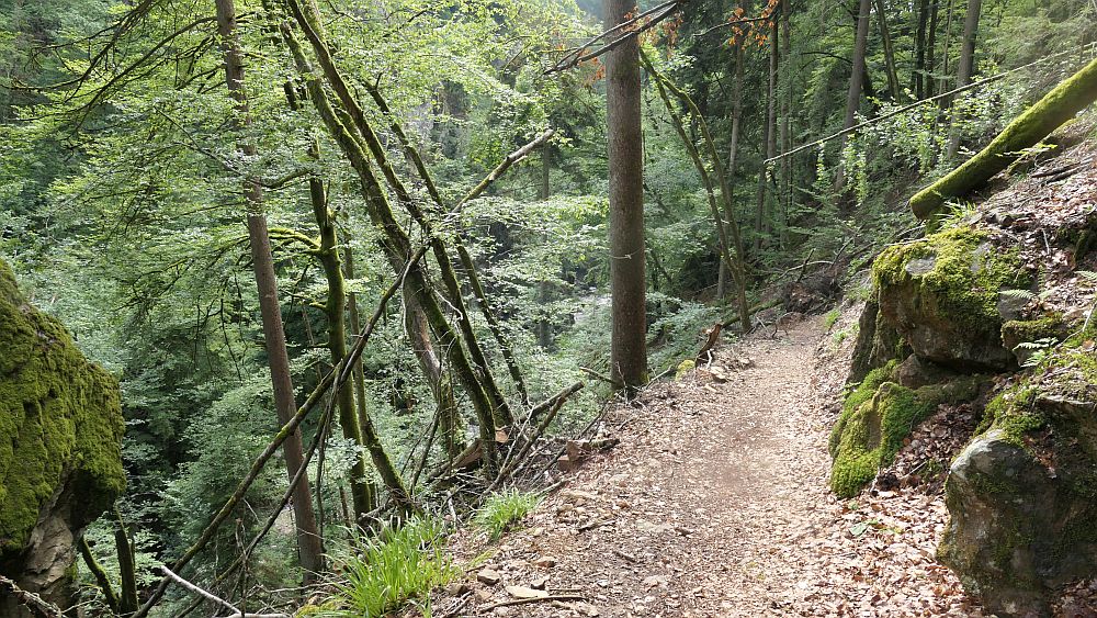 Albsteig Südschwarzwald
