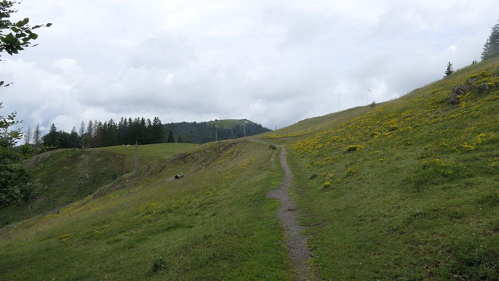 Albsteig Südschwarzwald