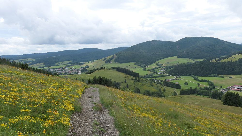 Albsteig Südschwarzwald