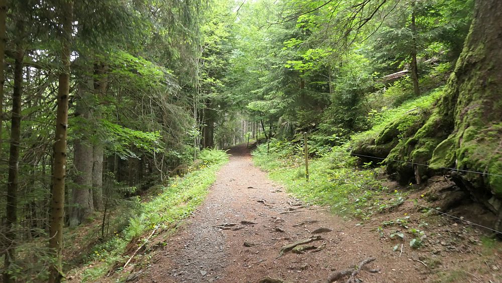 Albsteig Südschwarzwald