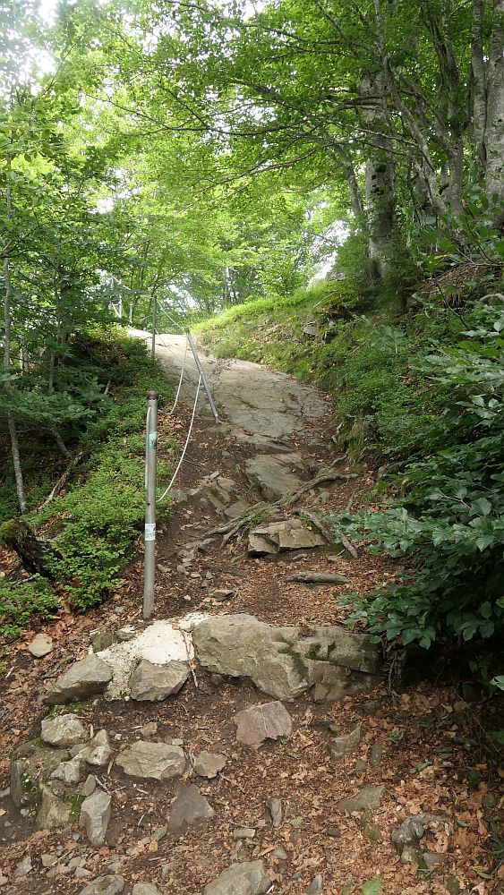 Albsteig Südschwarzwald