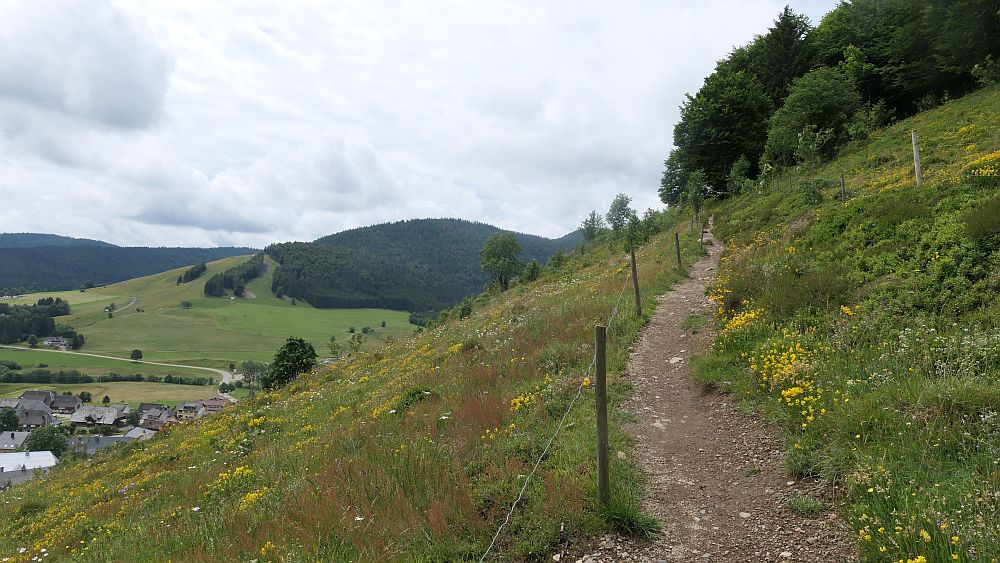 Albsteig Südschwarzwald
