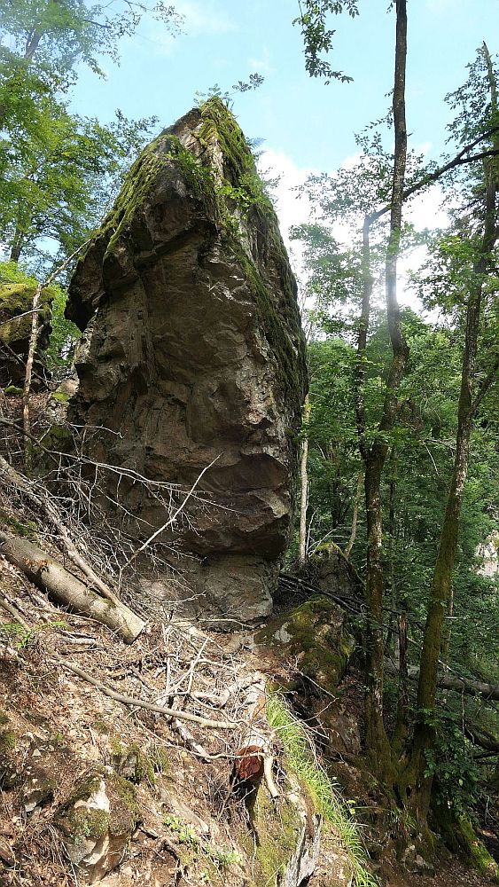 Albsteig Südschwarzwald