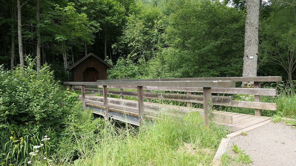 Albsteig Südschwarzwald