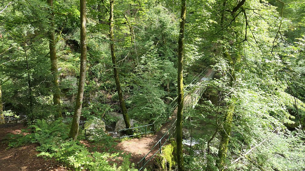 Albsteig Südschwarzwald