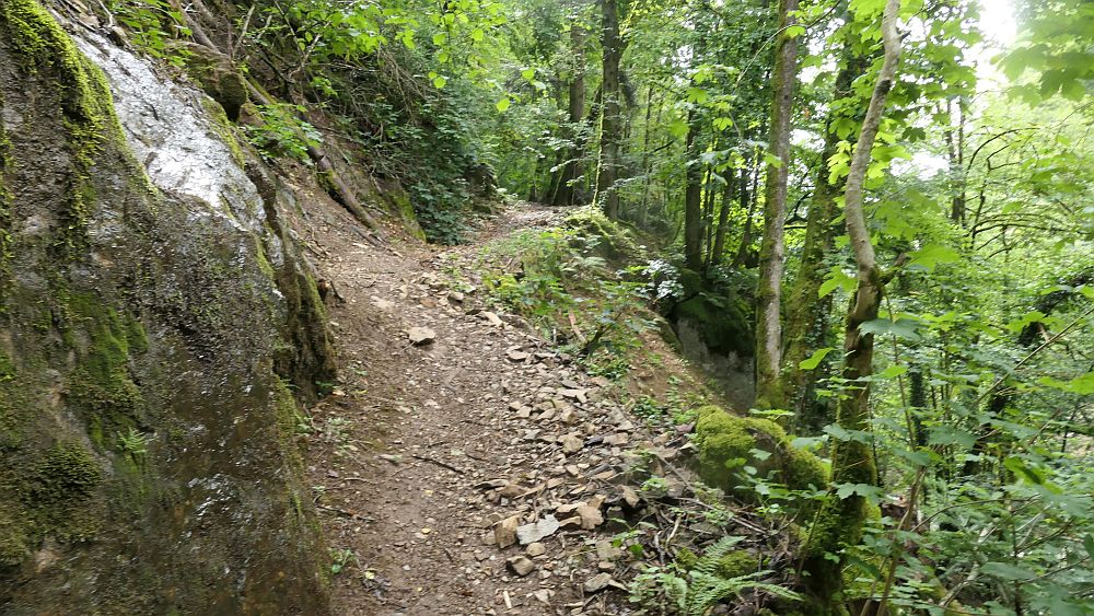 Albsteig Südschwarzwald