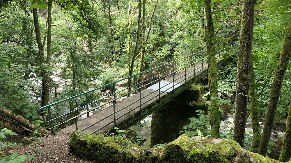 Albsteig Südschwarzwald