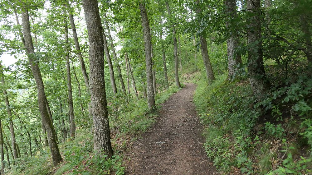 Albsteig Südschwarzwald