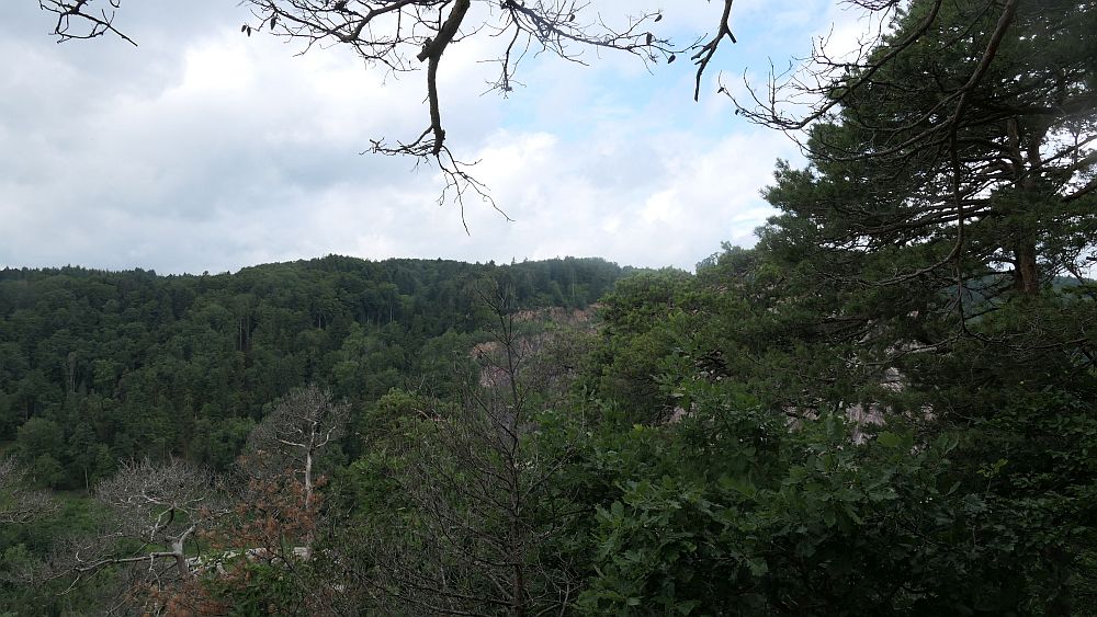 Albsteig Südschwarzwald