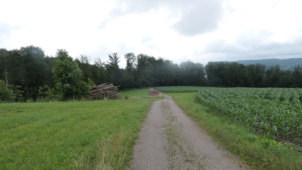 Albsteig Südschwarzwald