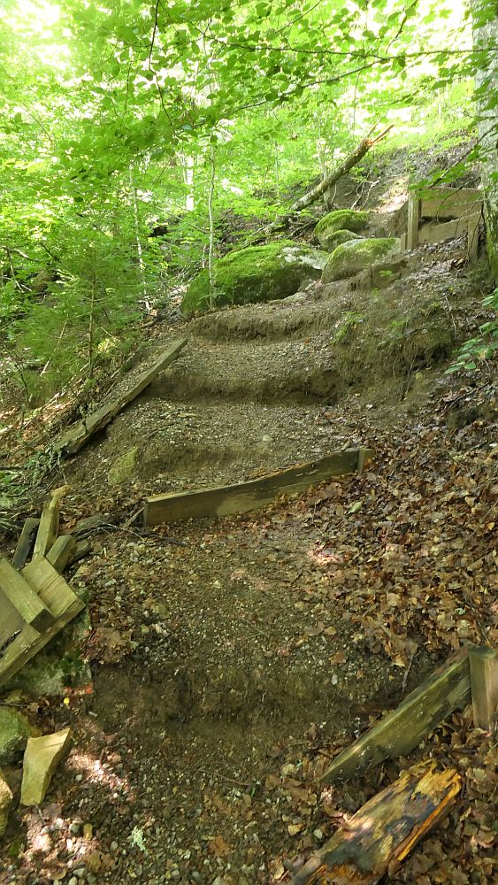 Albsteig Südschwarzwald