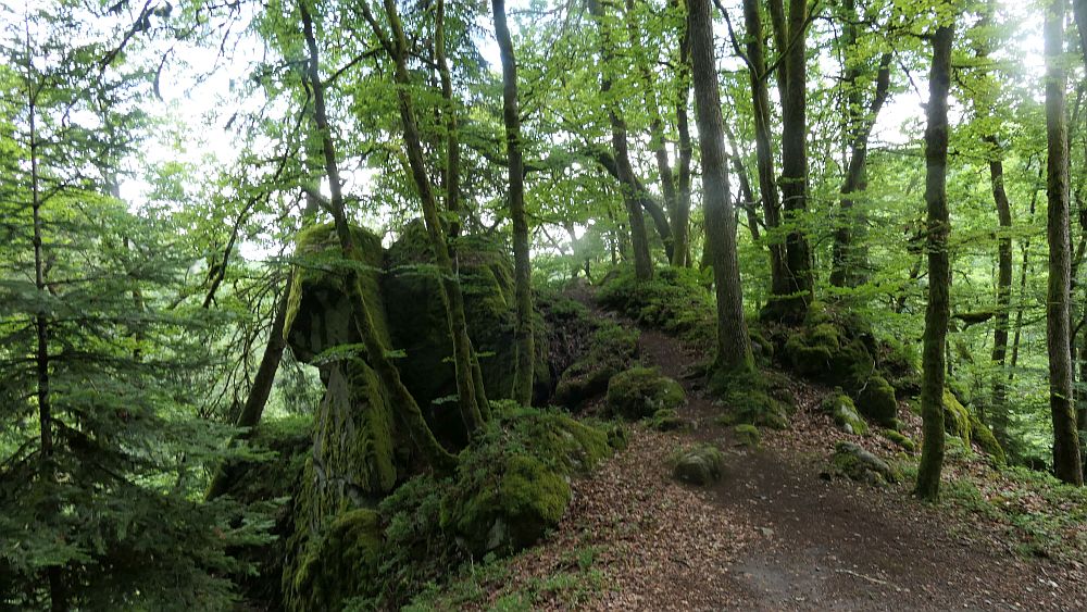 Albsteig Südschwarzwald