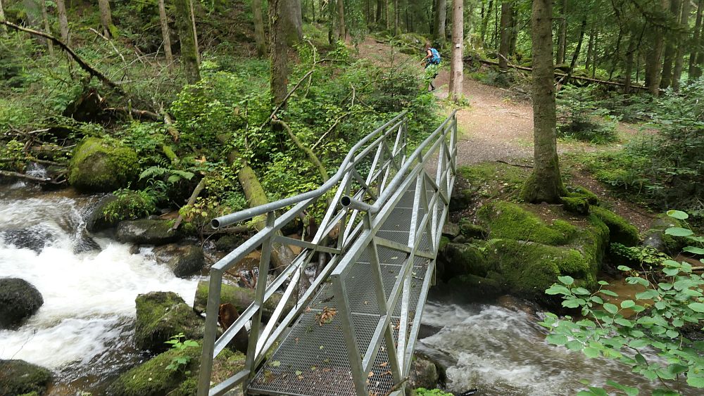 Albsteig Südschwarzwald