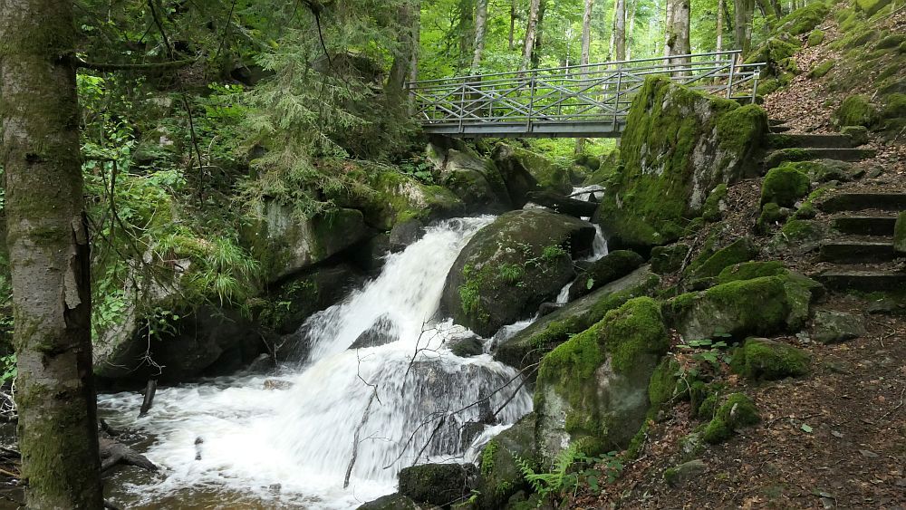 Albsteig Südschwarzwald