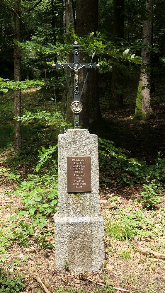 Albsteig Südschwarzwald