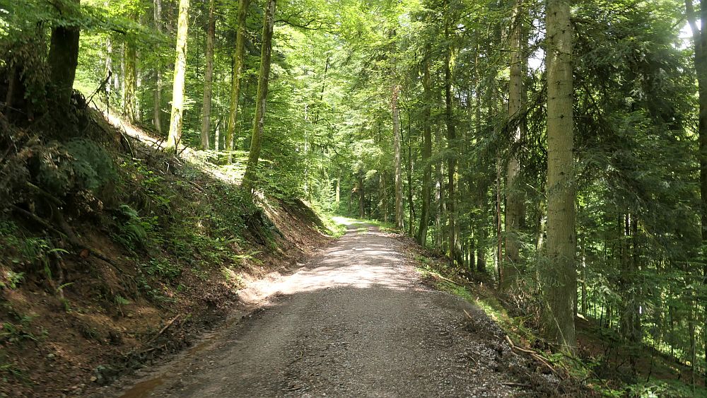 Albsteig Südschwarzwald